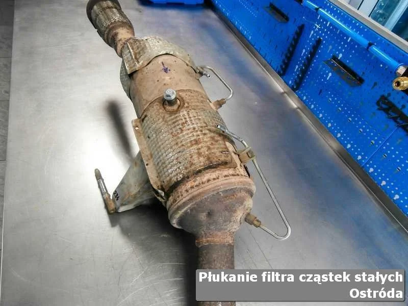 Wypłukany filtr cząstek stałych w Ostródzie