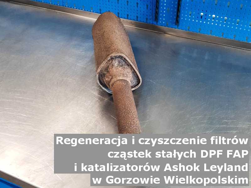 Wypłukany filtr cząstek stałych marki Ashok Leyland, w warsztacie, w Gorzowie Wielkopolskim.