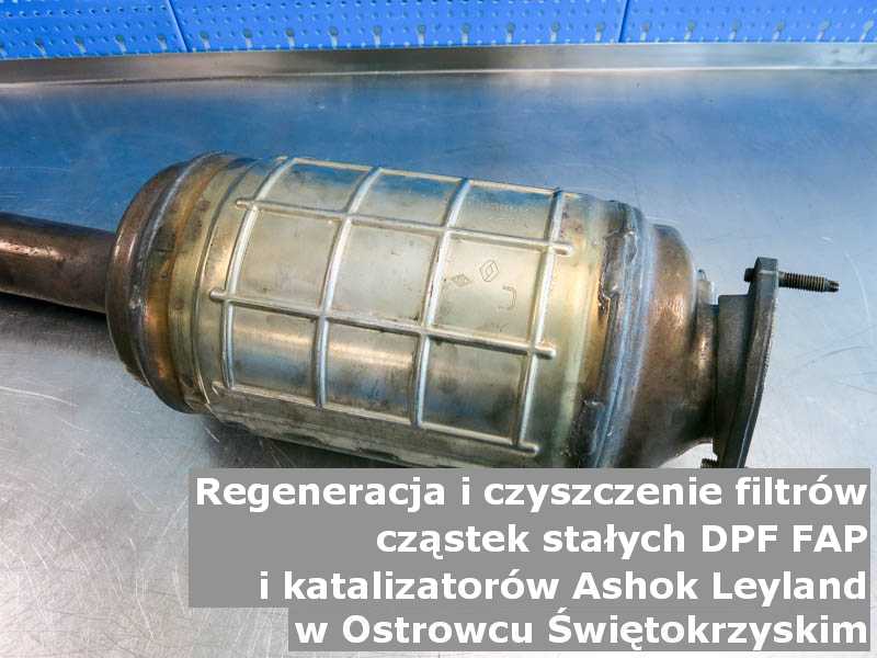 Regenerowany filtr cząstek stałych DPF/FAP marki Ashok Leyland, w pracowni regeneracji, w Ostrowcu Świętokrzyskim.