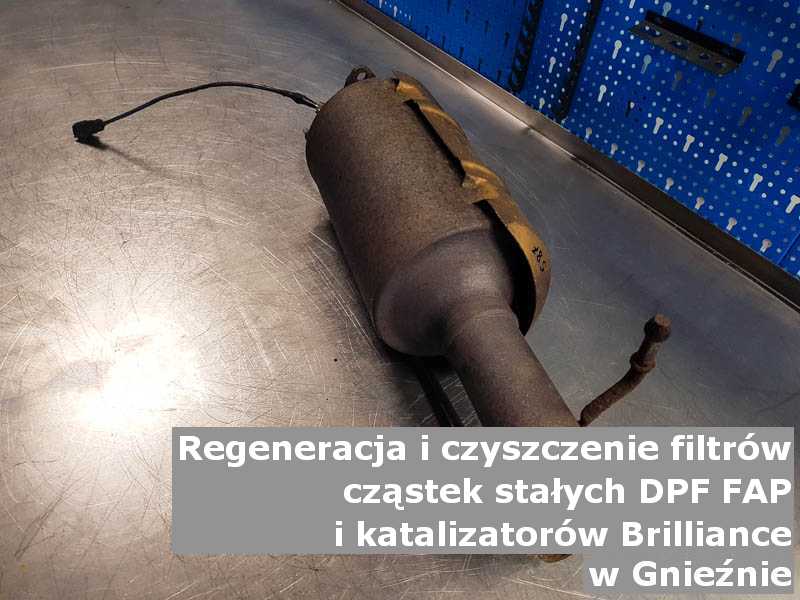 Płukany filtr cząstek stałych FAP marki Brilliance, w pracowni laboratoryjnej, w Gnieźnie.