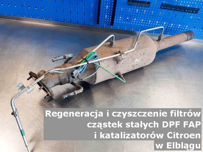 Umyty filtr marki Citroen, w pracowni laboratoryjnej, w Elblągu.