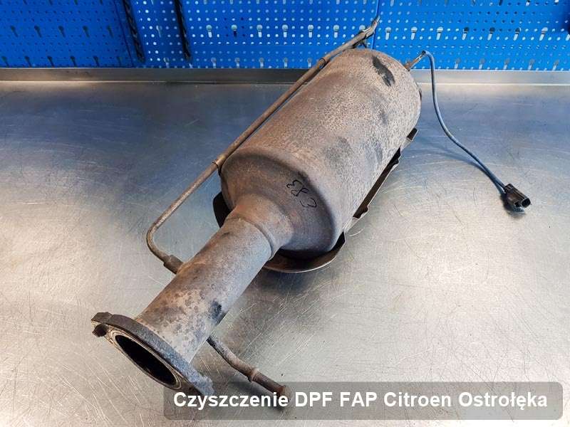 Filtr DPF do samochodu marki Citroen w Ostrołęce wyczyszczony na specjalistycznej maszynie, gotowy do zamontowania