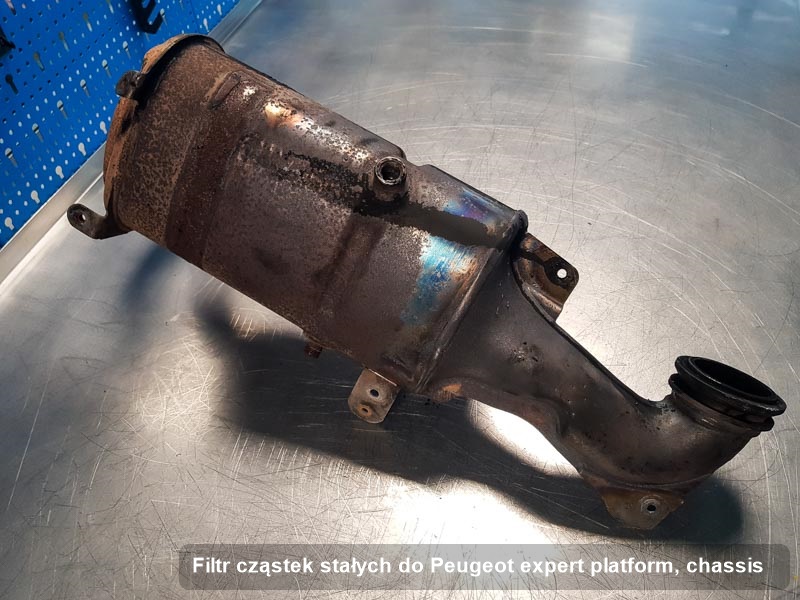Filtr cząstek stałych do samochodu marki Peugeot Expert Platform/Chassis