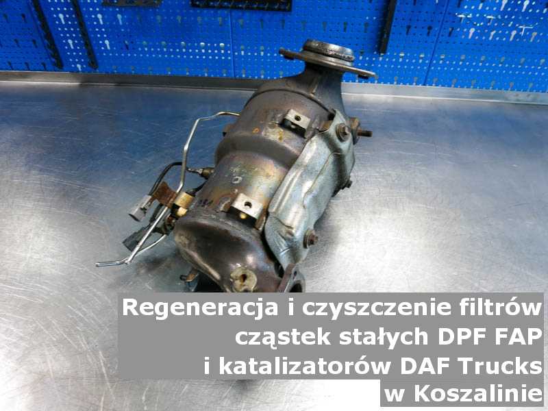 Myty filtr cząstek stałych marki DAF Trucks, w specjalistycznej pracowni, w Koszalinie.