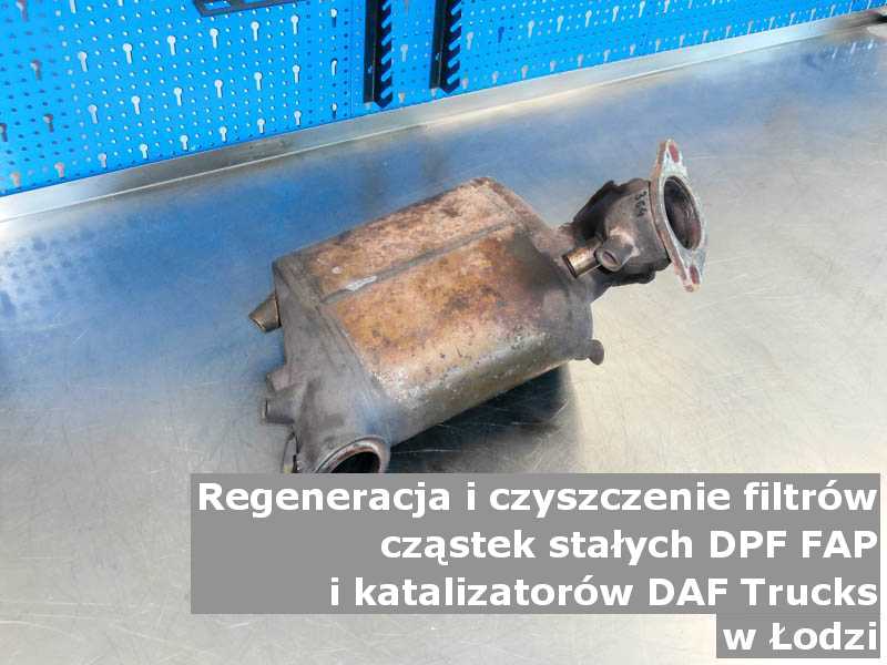 Umyty filtr cząstek stałych FAP marki DAF Trucks, w pracowni, w Łodzi.