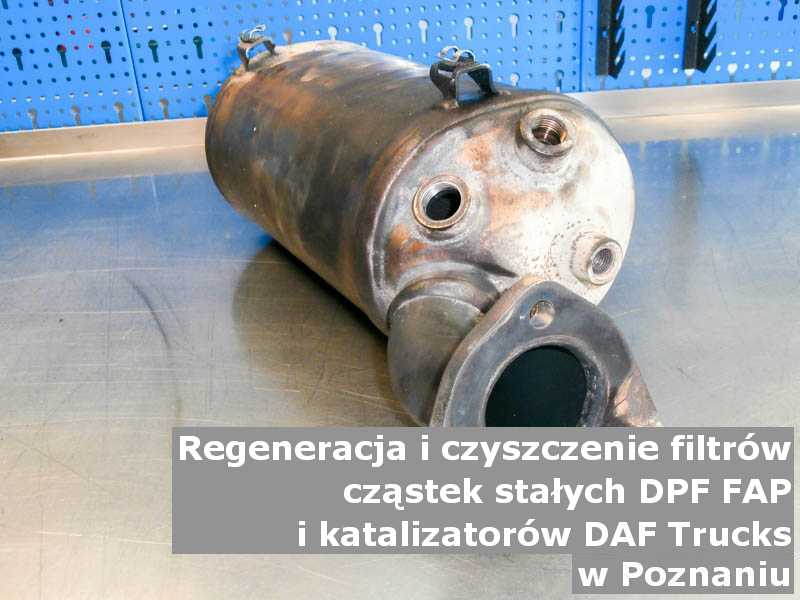 Umyty filtr FAP marki DAF Trucks, w warsztacie, w Poznaniu.