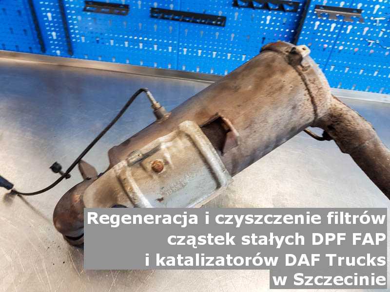 Czyszczony katalizator utleniający marki DAF Trucks, w pracowni regeneracji, w Szczecinie.