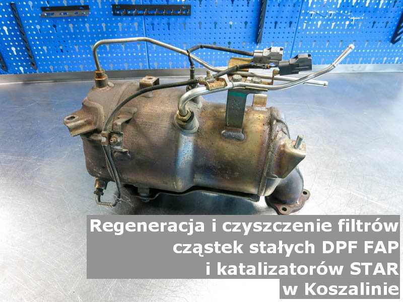 Oczyszczony filtr cząstek stałych DPF marki Fabryka Samochodów Ciężarowych „Star”, w laboratorium, w Koszalinie.