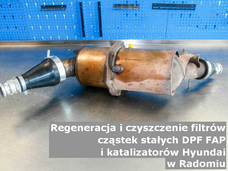 Płukany katalizator utleniający marki Hyundai, w pracowni laboratoryjnej, w Radomiu.