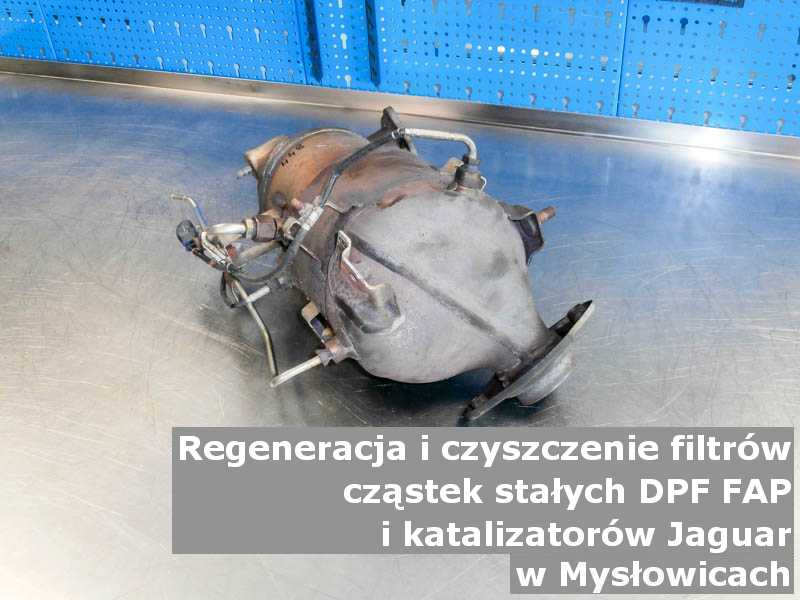 Umyty katalizator SCR marki Jaguar, w laboratorium, w Mysłowicach.