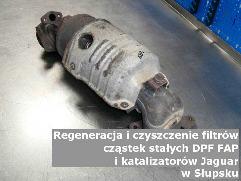 Wypalony z sadzy katalizator SCR marki Jaguar, w laboratorium, w Słupsku.