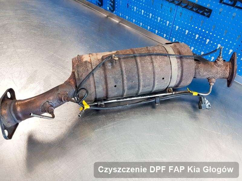 Filtr FAP do samochodu marki Kia w Głogowie wyczyszczony na dedykowanej maszynie, gotowy do wysyłki