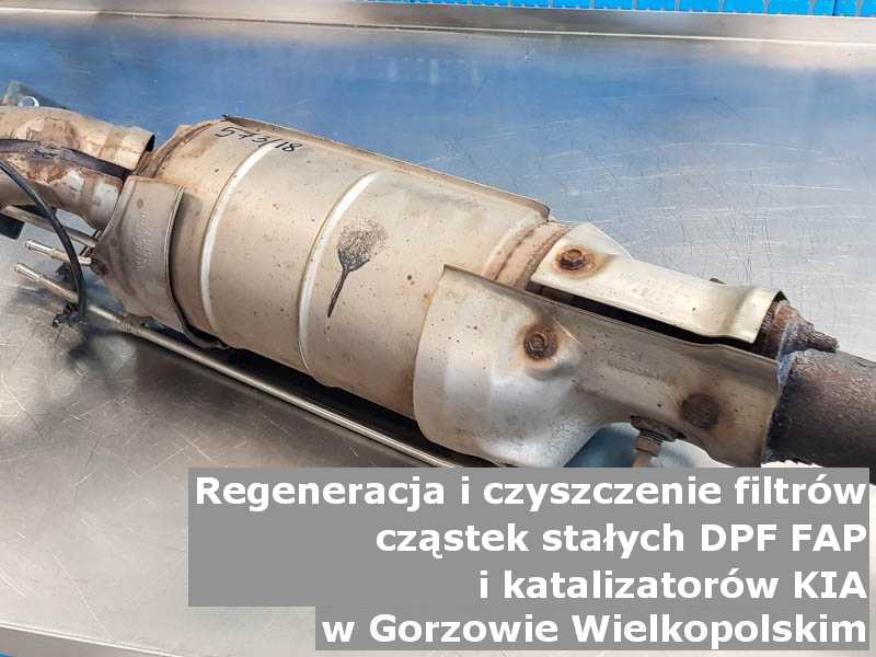 Wypłukany filtr DPF marki Kia, w laboratorium, w Gorzowie Wielkopolskim.