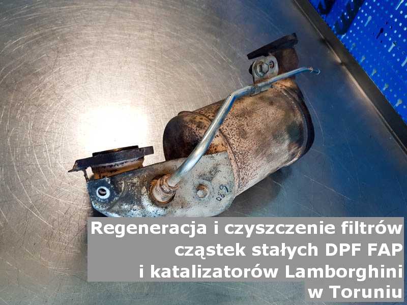 Wyczyszczony filtr marki Lamborghini, w laboratorium, w Toruniu.