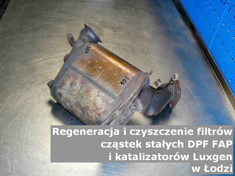 Wypłukany katalizator SCR marki Luxgen, w warsztacie, w Łodzi.