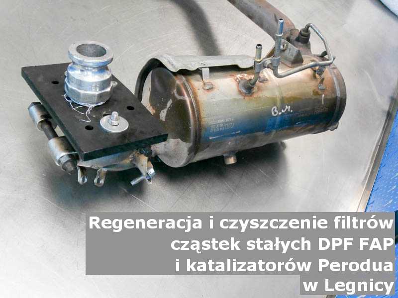 Czyszczony filtr cząstek stałych DPF/FAP marki Perodua, w pracowni, w Legnicy.