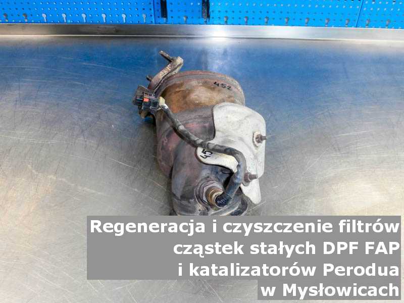 Wypłukany katalizator marki Perodua, w laboratorium, w Mysłowicach.