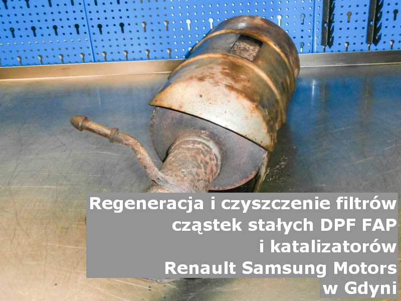 Umyty katalizator SCR marki Renault Samsung Motors, w laboratorium, w Gdyni.