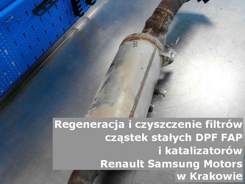 Myty filtr cząstek stałych marki Renault Samsung Motors, w warsztacie, w Krakowie.