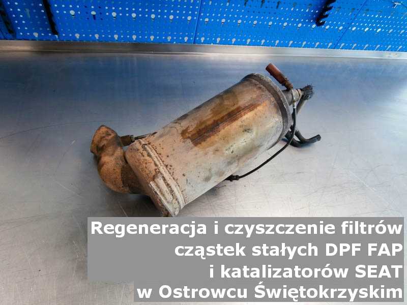 Myty filtr cząstek stałych GPF marki SEAT, w pracowni regeneracji, w Ostrowcu Świętokrzyskim.