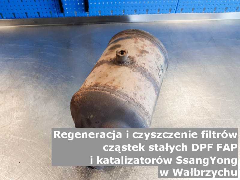 Umyty filtr cząstek stałych FAP marki SsangYong, w warsztatowym laboratorium, w Wałbrzychu.