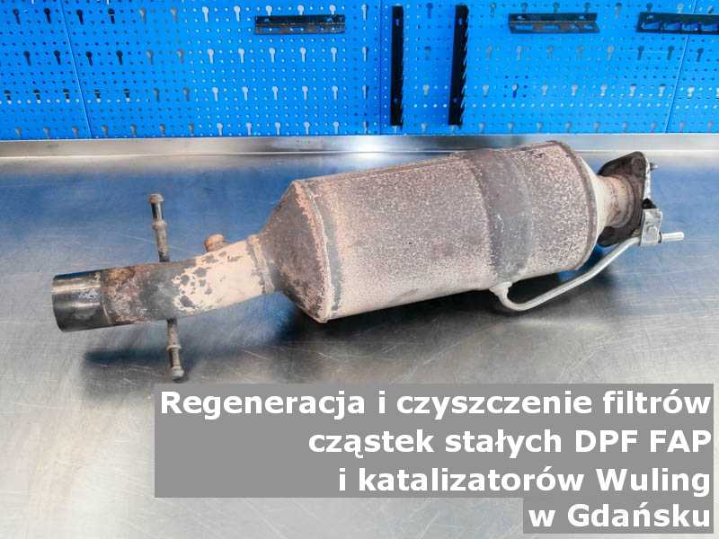 Myty filtr cząstek stałych FAP marki Wuling, w pracowni laboratoryjnej, w Gdańsku.